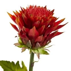 33" Tropical Artificial Flower (Set Of 6) -Flowers Michael Store D386665S 2