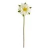 Lotus Flower Stems, 4ct. White -Flowers Michael Store D386717S 1