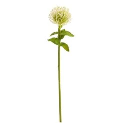 Pincushion Artificial Flower Stem, 6ct. White -Flowers Michael Store D386748S 1 1