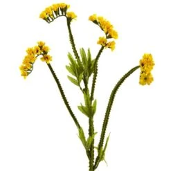 22" Baby's Breath Artificial Flower Set Yellow -Flowers Michael Store D386762S 12