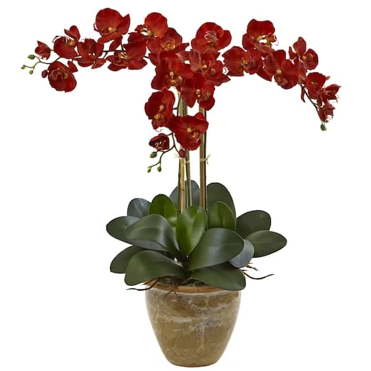27'' Autumn Triple Stem Moth Orchid In Ceramic Vase 4 27'' Autumn Triple Stem Moth Orchid In Ceramic Vase - Image 2