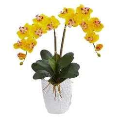23" Double Phalaenopsis Orchid Arrangement In White Ceramic Vase Yellow