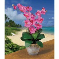 2ft. Double Moth Orchid Silk Flower Arrangement Dark Pink -Flowers Michael Store D386886S 2