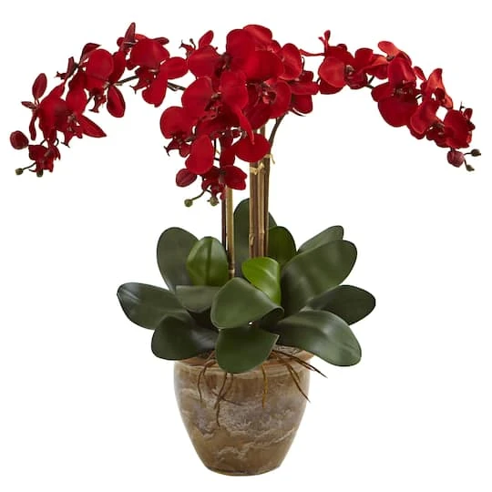 27'' Red Triple Stem Moth Orchid In Ceramic Pot 4 27'' Red Triple Stem Moth Orchid In Ceramic Pot - Image 2
