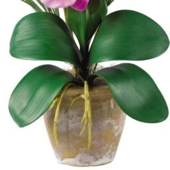 21" Moth Orchid Flower Arrangement In Ceramic Pot Mauve -Flowers Michael Store D386971S 12