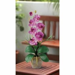 21" Moth Orchid Flower Arrangement In Ceramic Pot Mauve -Flowers Michael Store D386971S 13