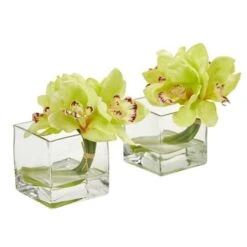8" Boat Orchid Arrangement In Glass Vase, 2ct. Green 6 8" Boat Orchid Arrangement In Glass Vase, 2ct. Green -Flowers Michael Store D386991S 1 1