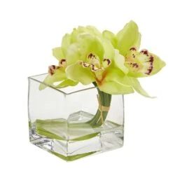 8" Boat Orchid Arrangement In Glass Vase, 2ct. Green 7 8" Boat Orchid Arrangement In Glass Vase, 2ct. Green -Flowers Michael Store D386991S 2
