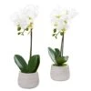 Phalaenopsis Orchid Artificial Arrangement (Set Of 2) -Flowers Michael Store D387082S 11
