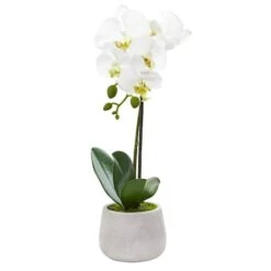 Phalaenopsis Orchid Artificial Arrangement (Set Of 2) -Flowers Michael Store D387082S 12