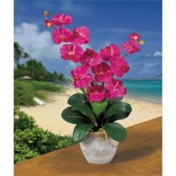 2ft. Double Moth Orchid Silk Flower Arrangement Pink Beauty -Flowers Michael Store D387118S 2