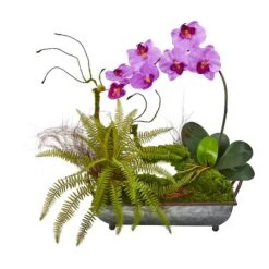 20" Phalaenopsis Orchid & Fern Arrangement In Metal Tray Mauve