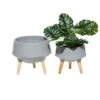 Set Of 2 Grey MgO Contemporary Planter 12", 10" -Flowers Michael Store D501393S 1