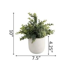 Flora Bunda® 6" Eucalyptus Plant In Ceramic Texture Planter -Flowers Michael Store D511314S 2