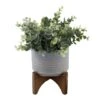 Flora Bunda® 11.5" Gray Eucalyptus In Ceramic Pot On Wood Stand -Flowers Michael Store D511315S 1