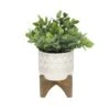 Flora BundaĀ® 11" Tea Plant In Geo Ceramic Footed Pot 2 Flora BundaĀ® 11" Tea Plant In Geo Ceramic Footed Pot -Flowers Michael Store D511319S 1