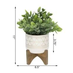 Flora Bunda® 11" Tea Plant In Geo Ceramic Footed Pot -Flowers Michael Store D511319S 2