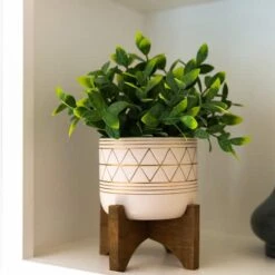 Flora Bunda® 11" Tea Plant In Geo Ceramic Footed Pot -Flowers Michael Store D511319S 3