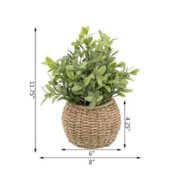 Flora Bunda® 11.7" Tea Leaf Plant In Basket -Flowers Michael Store D511321S 2