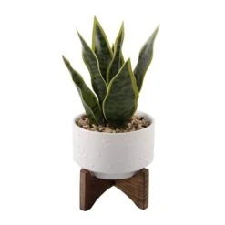 Flora Bunda® 9.7" Snake Plant In Ceramic Pot With Wood Stand