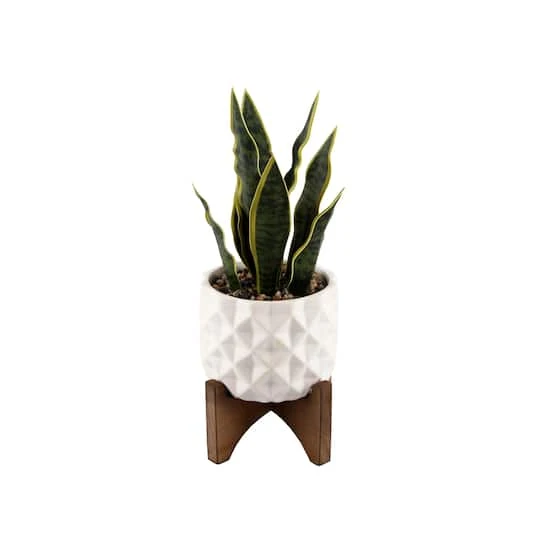 Flora Bunda® 12.5" Snake Plant In Ceramic Planter With Stand 4 Flora Bunda® 12.5" Snake Plant In Ceramic Planter With Stand - Image 2