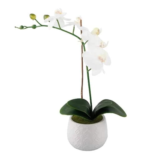 Flora Bunda® 16" Real-Touch Orchid In Ceramic Pot 3 Flora Bunda® 16" Real-Touch Orchid In Ceramic Pot