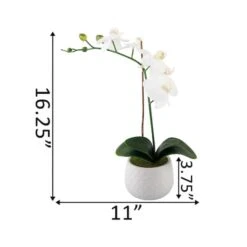Flora Bunda® 16" Real-Touch Orchid In Ceramic Pot 8 Flora Bunda® 16" Real-Touch Orchid In Ceramic Pot -Flowers Michael Store D511329S 2