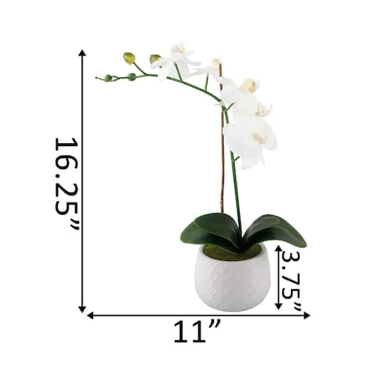 Flora Bunda® 16" Real-Touch Orchid In Ceramic Pot 5 Flora Bunda® 16" Real-Touch Orchid In Ceramic Pot - Image 3