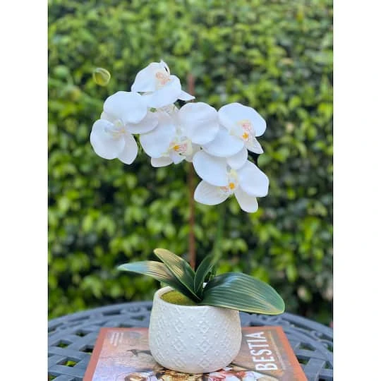 Flora Bunda® 16" Real-Touch Orchid In Ceramic Pot 6 Flora Bunda® 16" Real-Touch Orchid In Ceramic Pot - Image 4