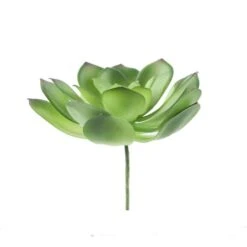 Flora Bunda® Large Little Gem Succulent Pick, 6ct. -Flowers Michael Store D581945S 1 1