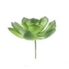 Flora Bunda® Large Little Gem Succulent Pick, 6ct. -Flowers Michael Store D581945S 1