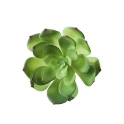 Flora Bunda® Large Little Gem Succulent Pick, 6ct. -Flowers Michael Store D581945S 2