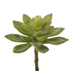 Flora Bunda® Jovibarba Emerald Spring Succulent Pick, 6ct. -Flowers Michael Store D581946S 1 1