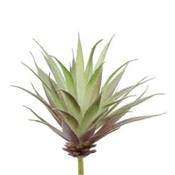 Flora Bunda® Agave Succulent Pick, 6ct. -Flowers Michael Store D581948S 1 1