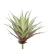 Flora Bunda® Agave Succulent Pick, 6ct. -Flowers Michael Store D581948S 1