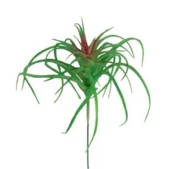 Flora Bunda® Air Plant Succulent Pick, 6ct. -Flowers Michael Store D581949S 2