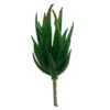 Flora Bunda® Aloe Zebra Succulent Pick, 12ct. -Flowers Michael Store D581950S 1