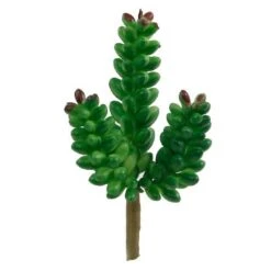 Flora Bunda® Donkey Tail Succulent Pick, 12ct. -Flowers Michael Store D581951S 1 1