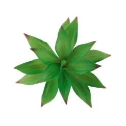 Flora Bunda® Aloe Blizzard Succulent Pick, 6ct. -Flowers Michael Store D581952S 2