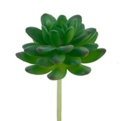 Flora Bunda® Stonecrop Succulent Pick, 12ct. -Flowers Michael Store D581953S 1 1