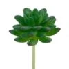 Flora Bunda® Stonecrop Succulent Pick, 12ct. 1 Flora Bunda® Stonecrop Succulent Pick, 12ct. -Flowers Michael Store D581953S 1