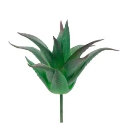 Flora Bunda® Aloe Vera Succulent Pick, 6ct. -Flowers Michael Store D581954S 1 1