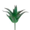 Flora Bunda® Aloe Vera Succulent Pick, 6ct. -Flowers Michael Store D581954S 1