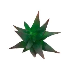 Flora Bunda® Aloe Vera Succulent Pick, 6ct. -Flowers Michael Store D581954S 2