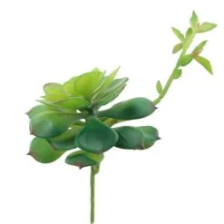 Flora Bunda® Echeveria Lola Succulent Pick, 6ct. -Flowers Michael Store D581955S 1 1