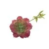 Flora Bunda® Red Echeveria Lola Succulent Pick, 6ct. -Flowers Michael Store D581956S 1
