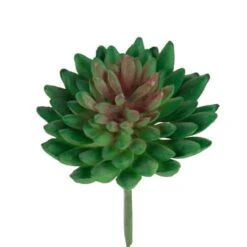 Flora Bunda® Bean Succulent Pick, 12ct. -Flowers Michael Store D581957S 1 1