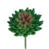 Flora Bunda® Bean Succulent Pick, 12ct. -Flowers Michael Store D581957S 1