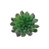 Flora Bunda® Succulent Pick, 6ct. -Flowers Michael Store D581959S 1