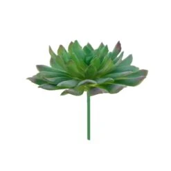 Flora Bunda® Succulent Pick, 6ct. -Flowers Michael Store D581959S 2